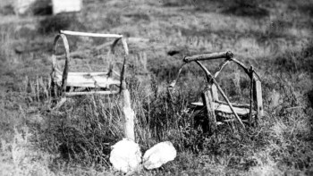 Фотография к новости: Тарихшы: Ашаршылық мифтерге толы болды 