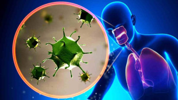 Фотография к новости: Респираторлық инфекциялардың 200-ден астам қоздырғышы бар – дәрігер 