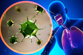 Фотография к новости: Респираторлық инфекциялардың 200-ден астам қоздырғышы бар – дәрігер 