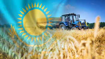 Фотография к новости: ШҚО-да ұсынылатын жобалардың 70% ауыл шаруашылығына қатысты