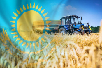 Фотография к новости: ШҚО-да ұсынылатын жобалардың 70% ауыл шаруашылығына қатысты