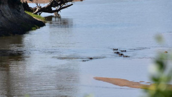 Фотография к новости: Наурызда Қазақстанның басым бөлігінде жауын-шашын мөлшері жоғары болады