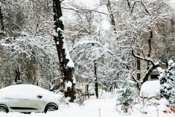 Алматыда қалың қар жауып, халықты әбігерге салды