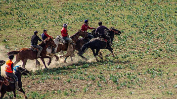 Фотография к новости: Түркістанда көкпардан аймақтық жарыс өтті