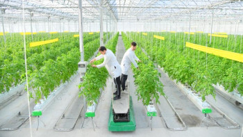 Фотография к новости: Шымкентте ауыл шаруашылық тауарын өндіретін 177 нысанға мемлекеттен субсидия берілген 