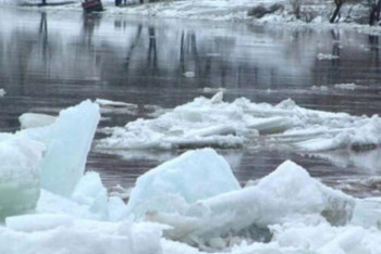 Фотография к новости: Кей аймақтардағы топырақтың қату көрсеткіші әдеттегіден жоғары – министр  