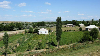 Фотография к новости: Сүлейменов ауылда сұранысқа ие кәсіп түрлерін атады