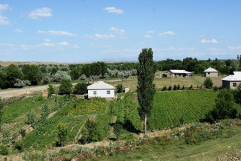 Фотография к новости: Сүлейменов ауылда сұранысқа ие кәсіп түрлерін атады