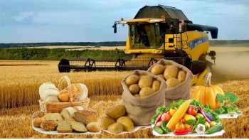 Фотография к новости: Ауылшаруашылық өнім көлемі 6,3 трлн теңге болды. Бұл – ЕАЭО-дағы ең жоғары өсім