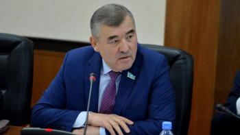 Фотография к новости: Күрделі жағдайды бастан кешуде. Сенатор ауыл шаруашылығындағы проблеманың бірін айтты