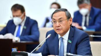 Фотография к новости: Сенатор ащы шындықты айтты. Аурудың бәрі сырттан келіп жатыр 