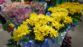 Фотография к новости: Флористен кеңес: 8 наурызда қандай гүл сыйлауға болады? 