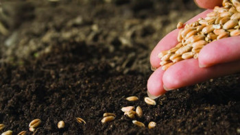 Фотография к новости: Биыл Шығыста көктемгі егіс науқаны сәуір айының ортасында басталуы мүмкін 