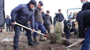 Фотография к новости: Азаттықтың отыз жылдығына орай 30 млн теңгеге саябақ салынуда