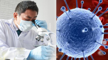 Фотография к новости: Қазақстанда коронавирустың британиялық штамы анықталды ма?