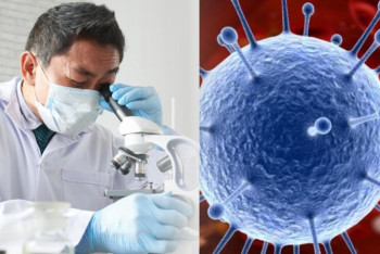 Фотография к новости: Қазақстанда коронавирустың британиялық штамы анықталды ма?