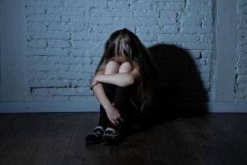 Фотография к новости: Кәмелетке толмағандарға  жыныстық зорлық-зомбылық көрсету тыйылмай тұр - Милюк 