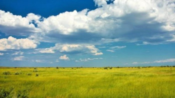 Фотография к новости: Жұртты алаңдатқан Жер туралы заң жобасы Мәжілісте талқынылатын болды