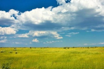 Фотография к новости: Жұртты алаңдатқан Жер туралы заң жобасы Мәжілісте талқынылатын болды