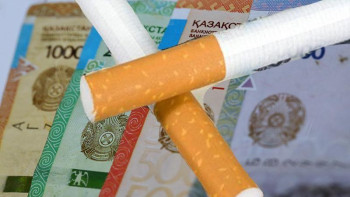 Фотография к новости: Сенатор темекі бағасының қымбаттауы туралы: Ақша қайда жұмсалады? 