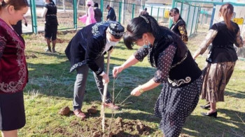 Фотография к новости: #Тәуелсіздік30: «Әр үйден бір ағаш» челленджі