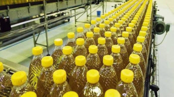 Фотография к новости: ШҚО-да май экстракциялайтын жаңа зауыт салынады  