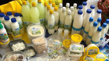 Фотография к новости: Ақмолалық шаруашылық ешкі сүтінен 45 түрлі өнім шығаруда