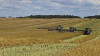 Фотография к новости: Ауыл шаруашылығы бизнес емес, жан қалауы – Еркебұлан Мәмбетов