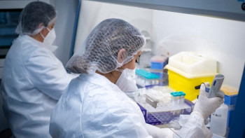 Фотография к новости: Цой өлімге алып келуі мүмкін ең қауіпті штаммды атады  