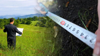 Фотография к новости: «Жер туралы» кодекстің шетелдіктерге жерді сату және жалға беру туралы бабын қайта қарау туралы ұсыным айтылды