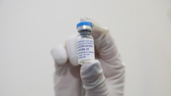 Фотография к новости: QazVac коронавирустың жаңа штамдарына қаншалықты қауқарлы?