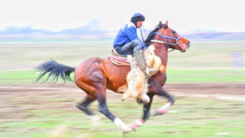 Фотография к новости: Ел чемпионаты. Бүгін чемпионаттың ашылу салтанаты өтеді 