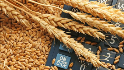 Литва Қазақстаннан озбайды – АШМ өкілі 