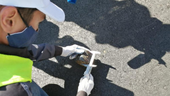 Фотография к новости: Ақтауда жол саласында маман тапшылығы мәселесі шешіліп жатыр 