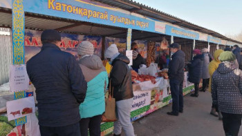 Фотография к новости: Өскеменде Катонқарағай ауданының ауылшаруашылық жәрмеңкесі өтті