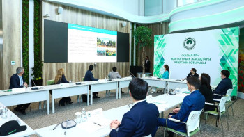 Фотография к новости: Әлия Назарбаева көгалдандыруға қатысты жобалар туралы айтып берді