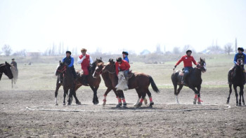 Фотография к новости: «Өнер көкпары». «Елорда» алматылықтарға есе жіберді