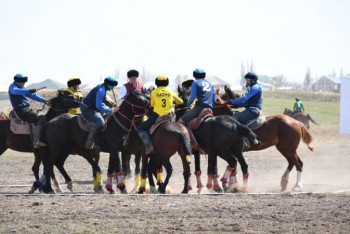Фотография к новости: «Өнер көкпары». Досымжанның қос командасы тартысты ойын көрсетті