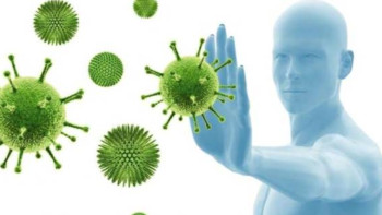 Фотография к новости: Тұрақты иммунитет қалыптасу үшін қанша уақыт қажет?