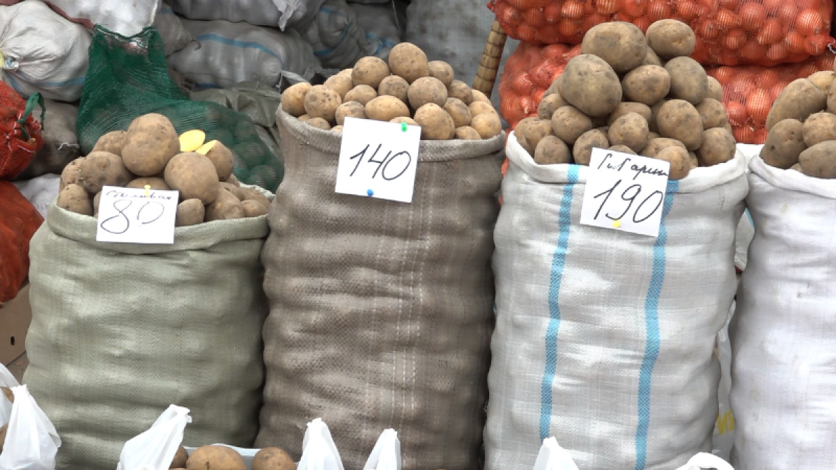 Павлодар облысының қоймаларында 18 мың тонна картоп сақтаулы 