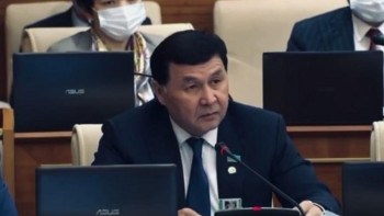 Фотография к новости: Депутат: ЕАЭО елдерінің мемлекетішілік рәсімдері мәселесі қай сатыда?