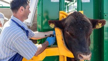Фотография к новости: Ветеринар мамандардың білімін жетілдіруге көңіл бөлінуде