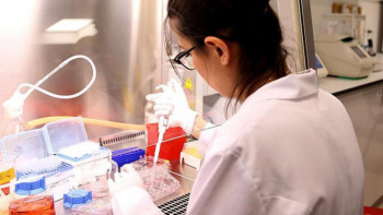 Фотография к новости: Қазақстанның ғылым саласында қанша қызметкер еңбек етеді?