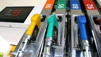 Фотография к новости: Жанармай бағасының өсуіне не себеп?