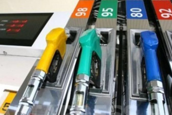 Фотография к новости: Жанармай бағасының өсуіне не себеп?