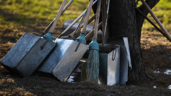 Фотография к новости: Павлодар облысында тазалық марафоны жалғасын табуда