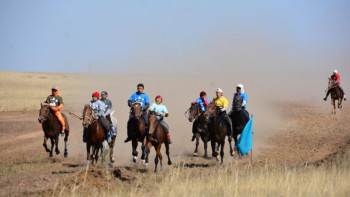 Фотография к новости: Тек Қостанай жылқысы қатысқан аламан өтуі мүмкін