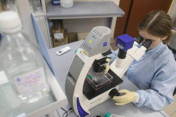 Фотография к новости: Коронавирустың геномы толығымен шешілді – иммунолог