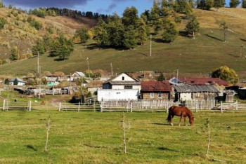 Фотография к новости: «Ауыл – ел бесігі»: Ауылдағы өмірді жақсартатын жоба іске асырылады