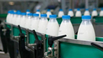 Фотография к новости: ШҚО шаруалары соңғы үш жылда сүт өндірісін еселеп өсірді